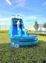 20240629 094952 1720575953 Dolphin 15' Water Slide (Wet/Dry)