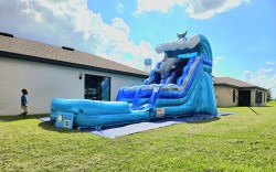 20240703 162711 1720575953 Dolphin 15' Water Slide (Wet/Dry)