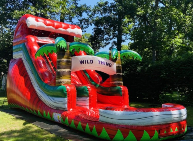 Red Hot Wild Thing Inflatable Water Slide - 18 FT