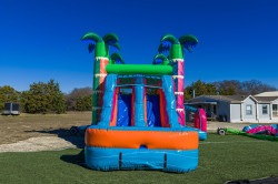 DJI 20251230113140 0034 D 1775074839 Neon Palms Combo