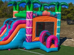 DJI 20251230113230 0038 D 1775074838 Neon Palms Combo