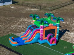 DJI 20251230113333 0042 D 1775074838 Neon Palms Combo