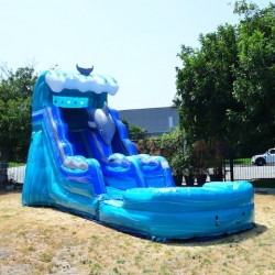 IMG 0493 1719064322 Dolphin 15' Water Slide (Wet/Dry)
